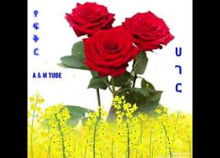 066 Best Behilawi Music