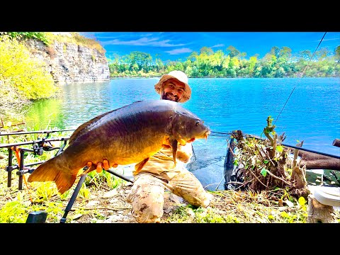 مطاردة السمكة البيضاء العملاقة نهاية صادمة