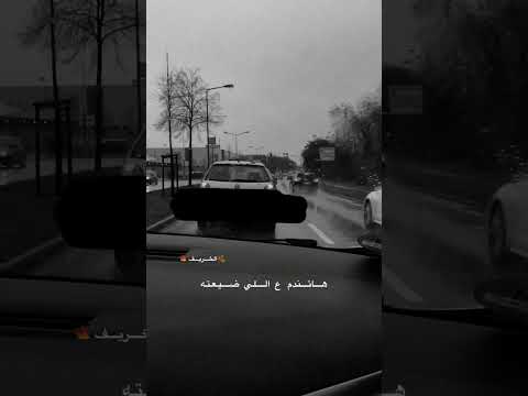 محمد شاهين وشوفلك حد يشبهلك قليل اصل حالات واتساب