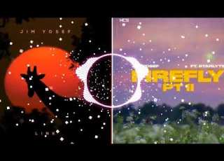 Jim Yosef Link X Firefly Pt 2
