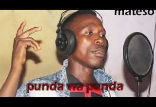 Punda Wa Punda Mateso
