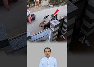 هجوم شرس كلاب تهاجم فتاة وشجاعة امرأة تنقذها في اللحظة الأخيرة Youtubeshorts Youtube Shorts