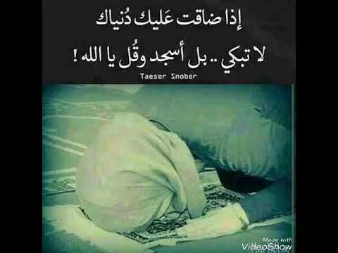 فيارباه عبدون تإبون ডদদলভভভদনলববদ ধঠ দ