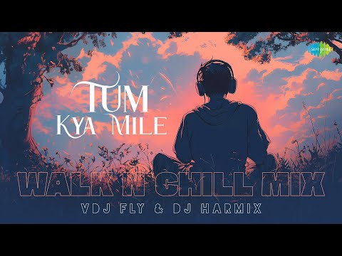 Tum Kya Mile Walk N Chill Mix VDJ Fly DJ Harmix