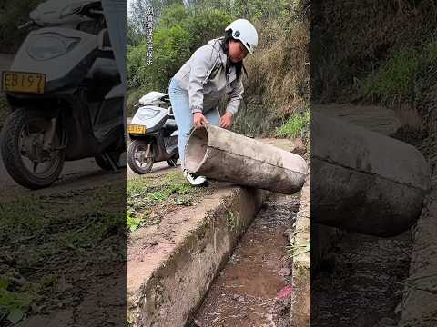 Spreading Kindness Kindness