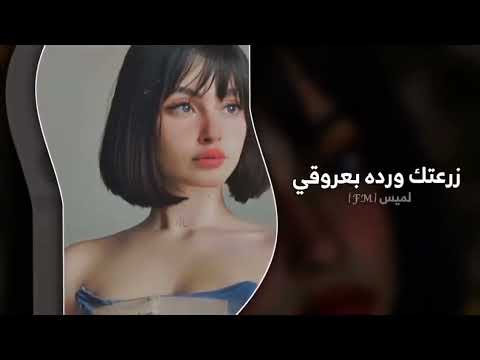 ياريتك لو تجي يمي ـ اغاني تيك توك 2024 اكثر شي تعديل مميز زرعتك وردة بعروقي