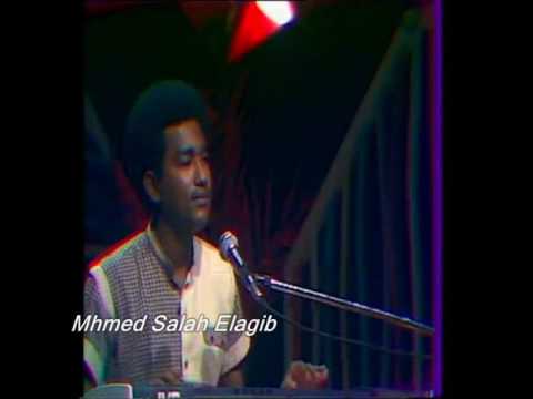 حيدر بورتسودان يا فرح فنان 88