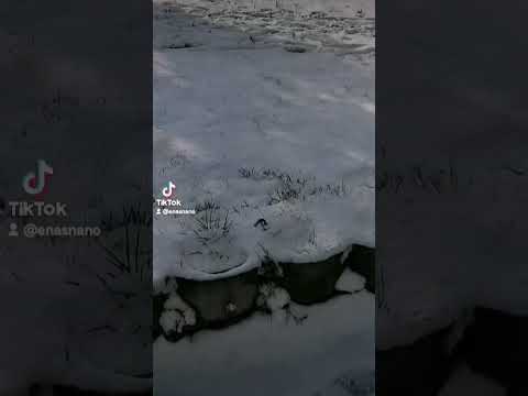 رياح امطار سيول انهار انا شغال شكرا ليكم يا حضرات