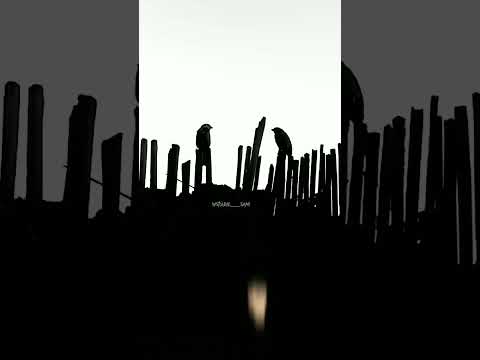 واقفه دايما جمب مني Editing عمرودياب ستوري اعلانات رمضان مصر عمرو دياب