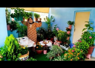 A Natural Bomb Fertilizer Add This Mix To Your Plants And You Ll Notice A Big Difference Omi