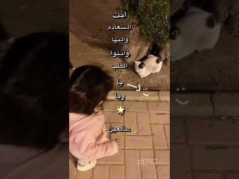 انت السعاده تصاميم انستا بدون موسيقى ترند السعودية Fypシ Viral Viralvideo ترند Subscribe Fyp