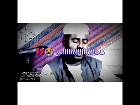 الفنان مبارك النور يا قلبي مالك والغرام