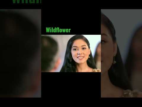 Wildflower Iconic Gold Scene Maja Slays Majasalvador Wildflower Ctto Shorts Teammaja