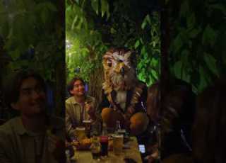 Meet Kitsika The Bird In Our Brand New Music Video