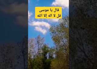 قال يا موسى قل لا اله إلا الله دعاء مستجاب الله Allah الرحمن ا استغفر الله طبخ Shortvideo