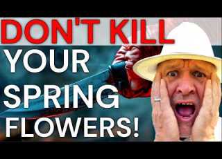 Five Pruning Mistakes That Can Kill Your Spring Flowers
