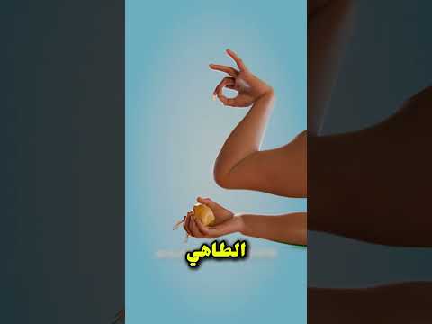 أغرب وجبة محرمة في العالم غموض تاريخ طعام