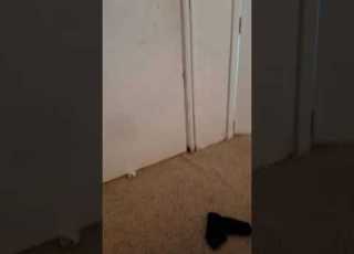  Recorded Footage Verbal Abuse Through Door