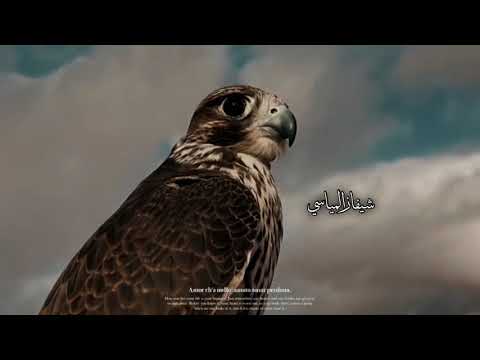 رفيع شوفنا مهدي بشير التمامي