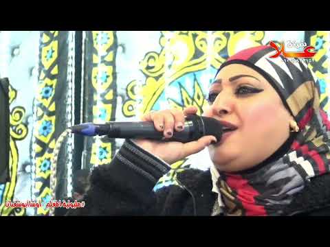 مش باقى غيراشواقى ياسمين عادل والعجوز مليونية المعلم اوشا ابو شعبان حفلات المحترم بيضه ابو عبدالله