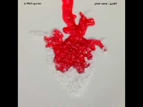 حالات وتساب دينية القارئ محمد كمال