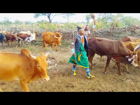 LUSOMISHA GOGADI BHANA NSHISHIWI BY JILALAGE STUDIO 17 4 2022 LUSOMISHA GOGADI BHANA NSHISHIWI BY JILALAGE STUDIO 17 4 2022