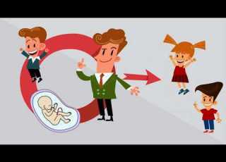 Developmental Origins Of Health And Disease DOHaD