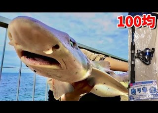  Catch A Shark With 100 Yen Fishing Tackle And Make Shark Fins