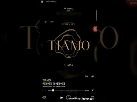 티아라 TlAMO