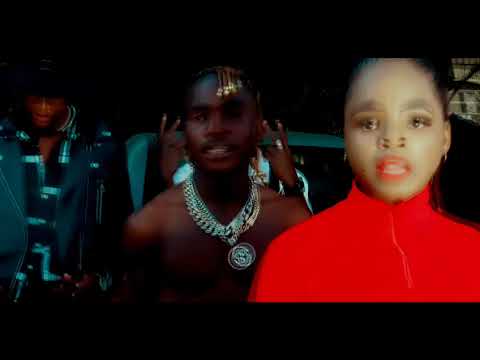 Harmonize 2026 0683136885