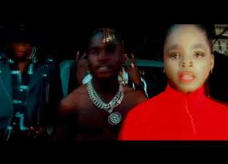 Harmonize 2026 0683136885