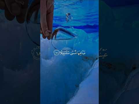 عينا فيها تسمى سلسبيلا محمد اللحيدان عينا فيها تسمى سلسبيلا محمد اللحيدان