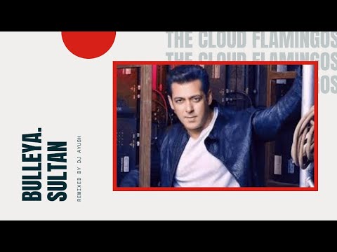 Bulleya Remix Sultan Latest Emotional Song Bass Boosted Animated Version Music Dj