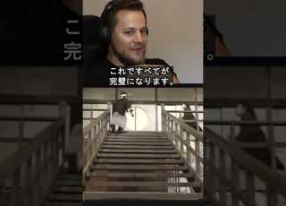 志村けんと加藤茶 階段落ち パート8 海外の反応 きしむ椅子チャンネル Shortsfeed Shorts