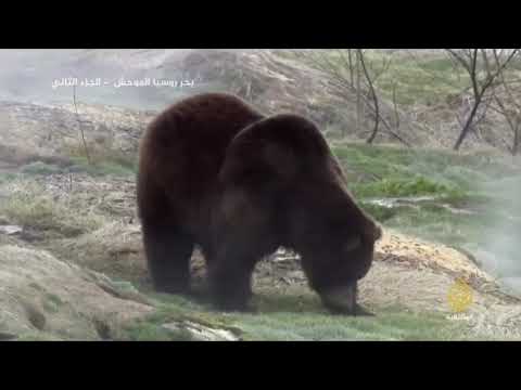 بحر روسيا الموحش الجزء الثاني