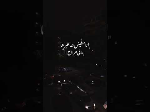 انا مفيش حد غيرها ملاني جراح Shorts اغاني مشاهدات ليكاااات تامر عاشور اليسا ملكة الاحساس