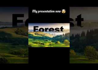 Forest Presentation Powerpoint Skills Design Powerpointpresentation