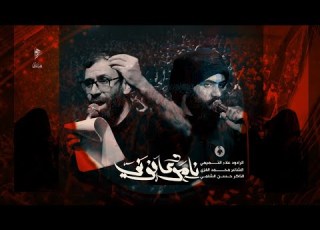 نامو وعافوني الرادود علاء التميمي