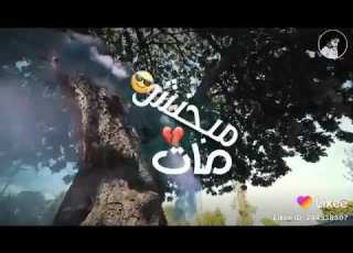  حلات وتس حسن شكوش العيال دهم دول شله نص كوم