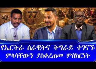 የኤርትራ ሰራዊትና ትግራይ ተገናኙ ምላሳቸውን ያስቆረጠመ ምስክርነት