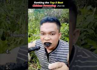  Chicken Screaming Ranking The Funniest Chicken Scream Moments