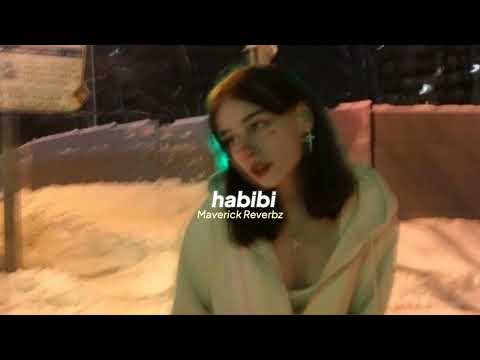 Asim Azhar Habibi Slowed Reverb