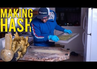  TRIMMERS BONUS MAKING HASH FROM TRIM