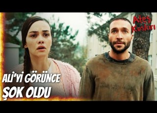 Ali Ve Mercan Karşı Karşıya Geldi Ateş Kuşları 1 Bölüm