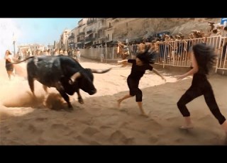  عندما تغضب الحيوانات امام الكات Part 2