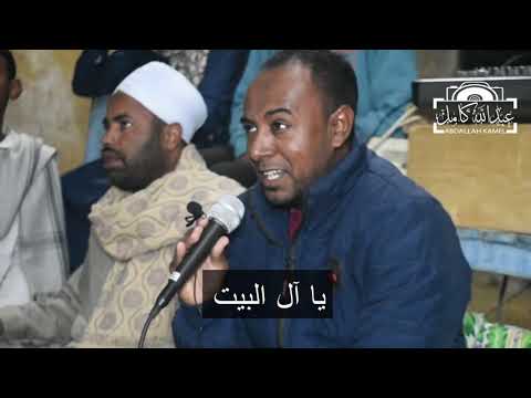 يا آل البيت أنوار وحكمة المادح الشيخ رمضان