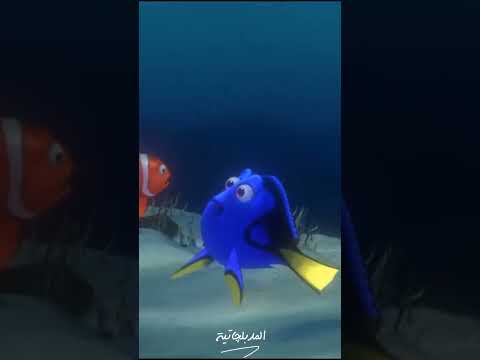 عيب كده بتعوم ورايا ليه يا بايخ نيمو عبلة كامل عيب كده بتعوم ورايا ليه يا بايخ نيمو عبلة كامل