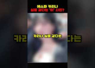 에스파 카리나 실물 같다는 이 사진 에스파 카리나