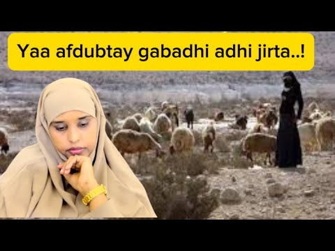 YAA AFDUBTAY GABADHI ADHI JIRTA AHAYD Sawdamqaalib