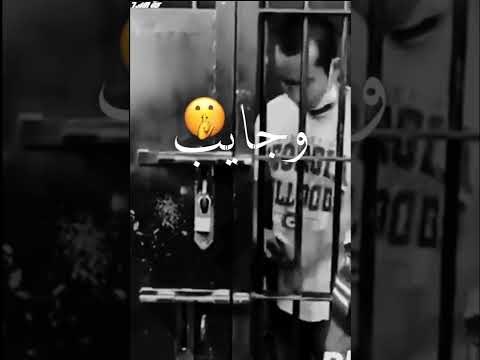 حالات واتس مهرجانات اخويا غائب بس سيرتو تمام كريم كريستيانو